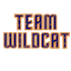 Team Wildcat (17U) (HGSL)